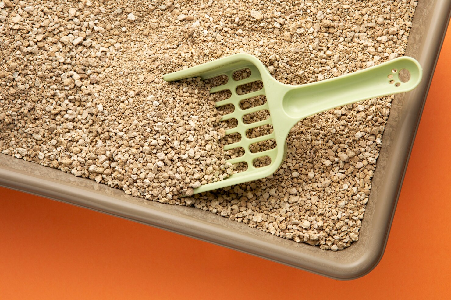 How to choose between open and closed self-cleaning cat litter boxes?