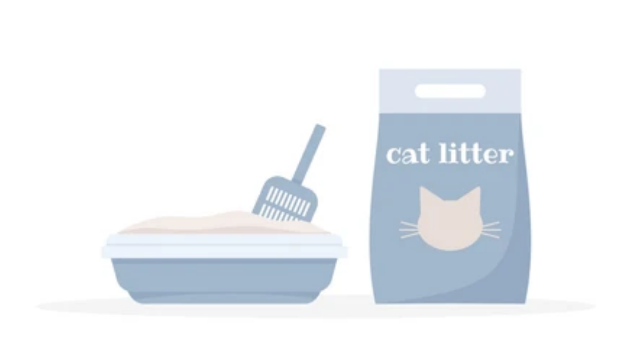 Which type of litter is best for cats?