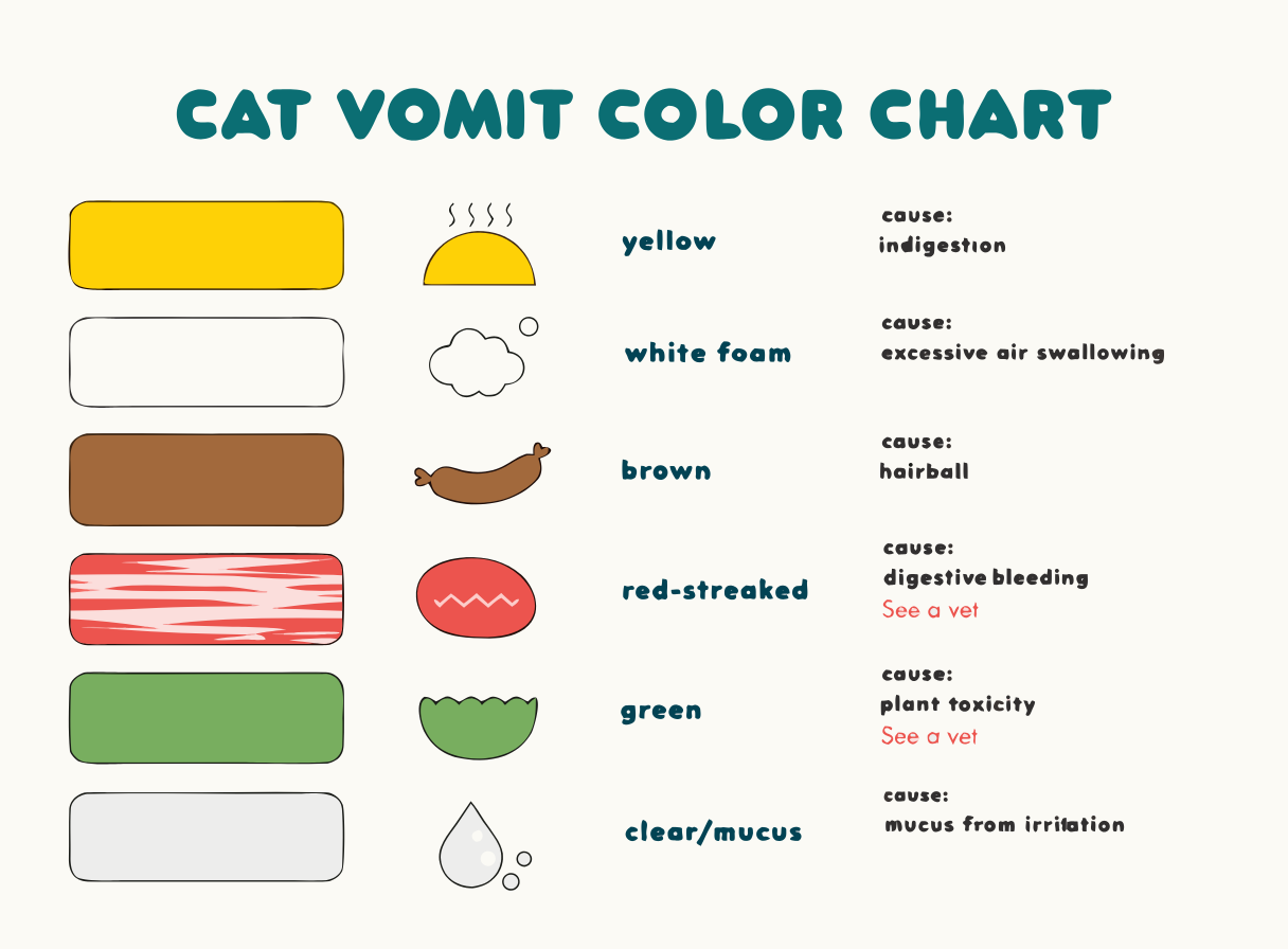 Cat Vomit Color Chart: Common Causes and When to Call a Vet