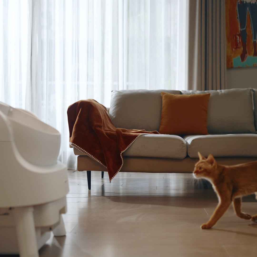 PetPivot