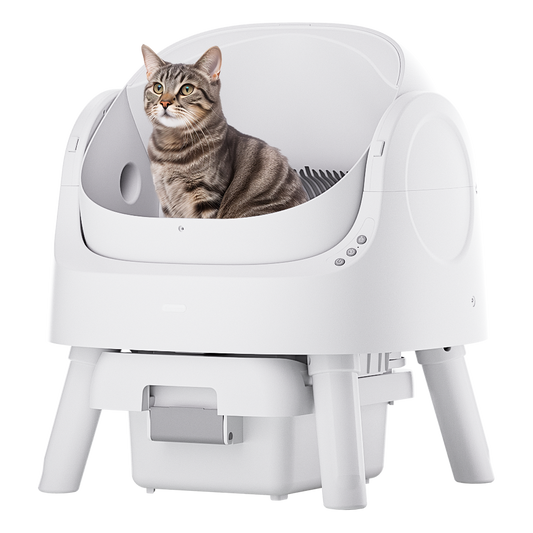 Automatic Cat Litter Box
