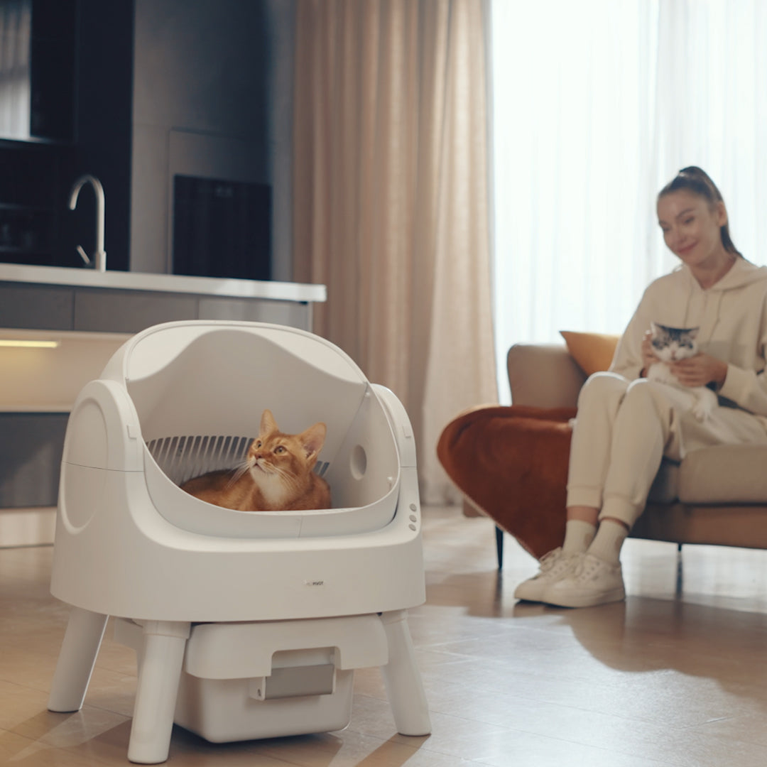 Autoscooper 11 Open-top Self-cleaning Smart Cat Litter Box-PetPivot Autoscooper 11 Open-top Self-cleaning Smart Cat Litter Box-PetPivot