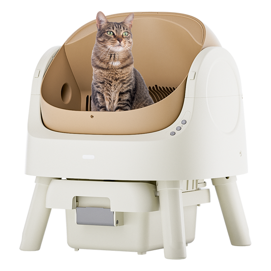 Automatic Cat Litter Box