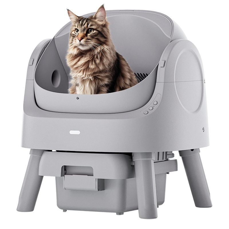 AutoScooper 11 Cat Litter Box