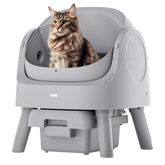 Automatic Cat Litter Box