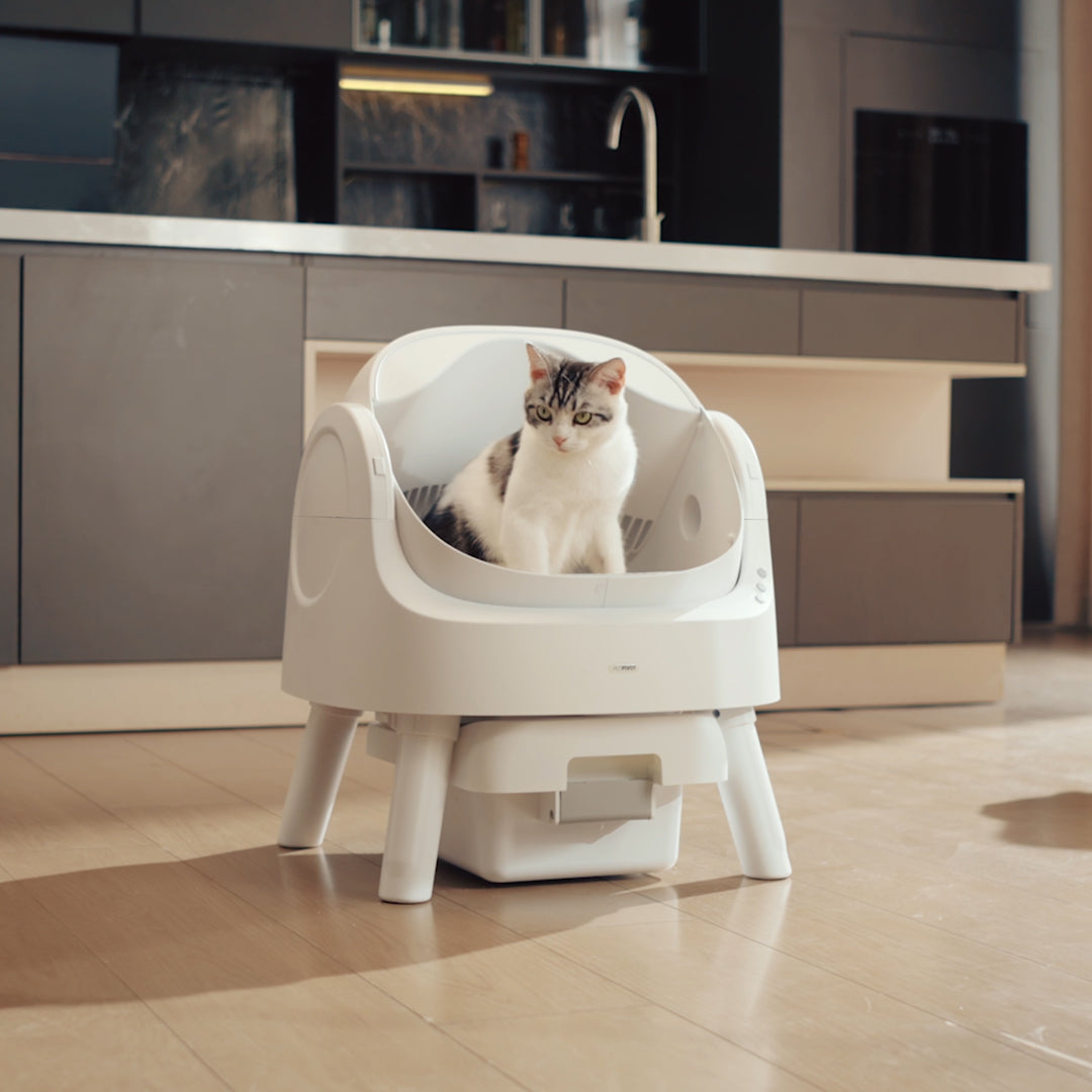 Autoscooper 11 Open-top Self-cleaning Smart Cat Litter Box-PetPivot Autoscooper 11 Open-top Self-cleaning Smart Cat Litter Box-PetPivot