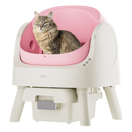 Automatic Cat Litter Box