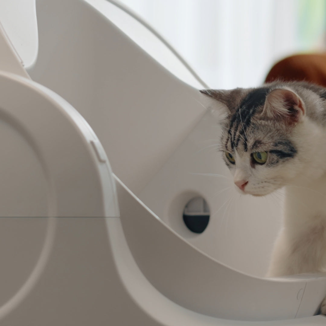 Autoscooper 11 Open-top Self-cleaning Smart Cat Litter Box-PetPivot Autoscooper 11 Open-top Self-cleaning Smart Cat Litter Box-PetPivot