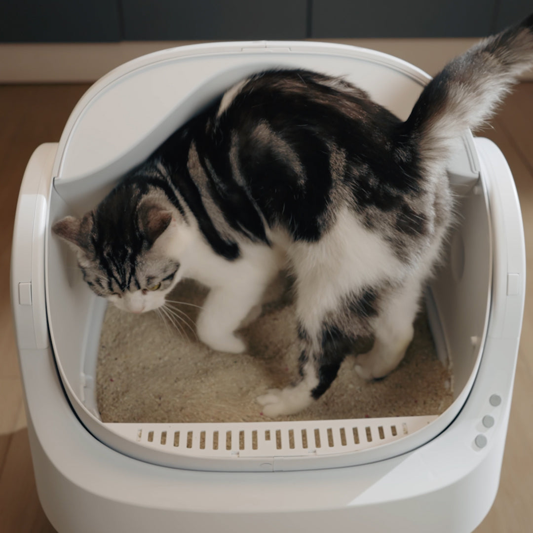 Autoscooper 11 Open-top Self-cleaning Smart Cat Litter Box-PetPivot Autoscooper 11 Open-top Self-cleaning Smart Cat Litter Box-PetPivot