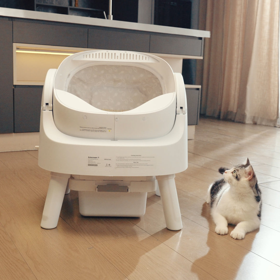 Photo inspiration: Fresh Look at Autoscooper 11 Open Top Self Cleaning Smart Cat Litter Box