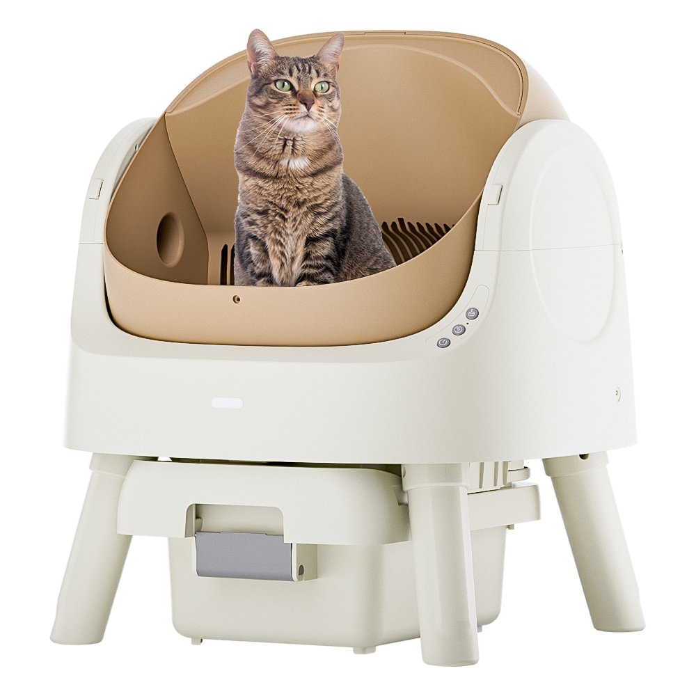 Autoscooper 11 Open-top Self-cleaning Smart Cat Litter Box-PetPivot
