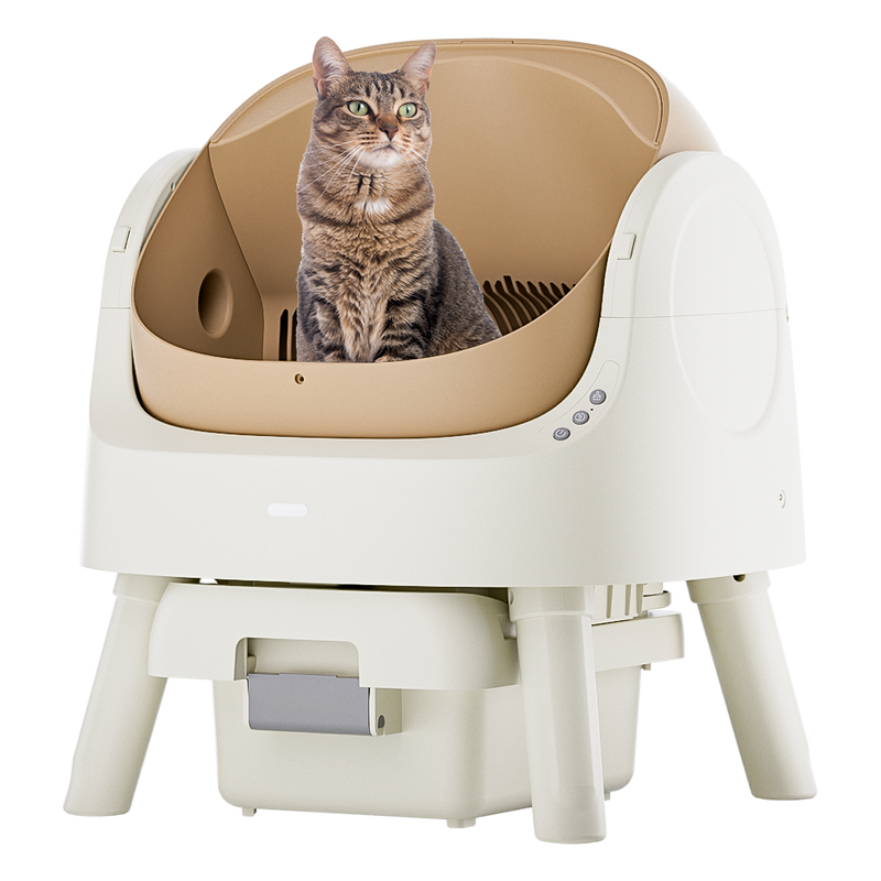 AutoScooper 11 Cat Litter Box