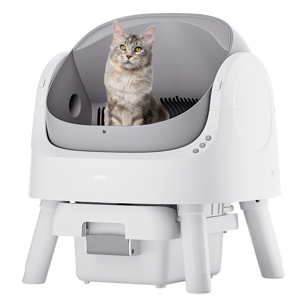 Autoscooper 11 Open-top Self-cleaning Smart Cat Litter Box-PetPivot