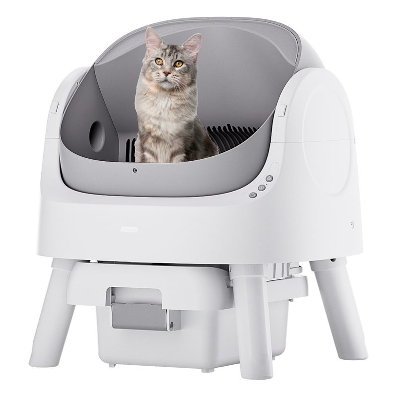 AutoScooper 11 Cat Litter Box