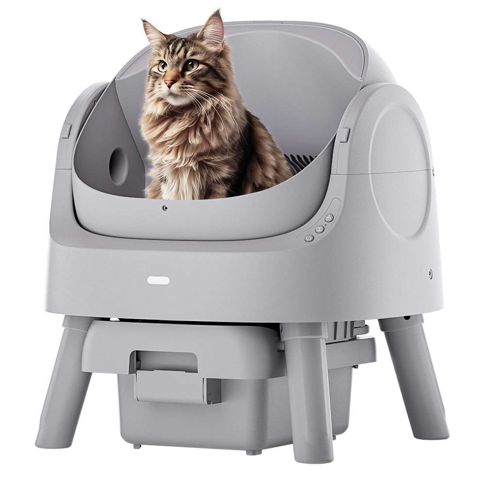 Autoscooper 11 Open-top Self-cleaning Smart Cat Litter Box-PetPivot