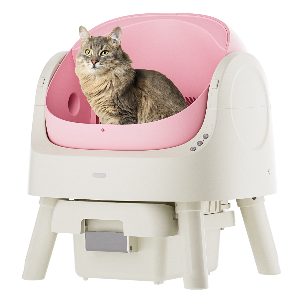 Autoscooper 11 Open-top Self-cleaning Smart Cat Litter Box-PetPivot