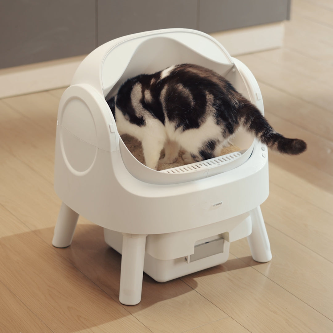 PetPivot Autoscooper 11 Open-top Self-cleaning Smart Cat Litter Box