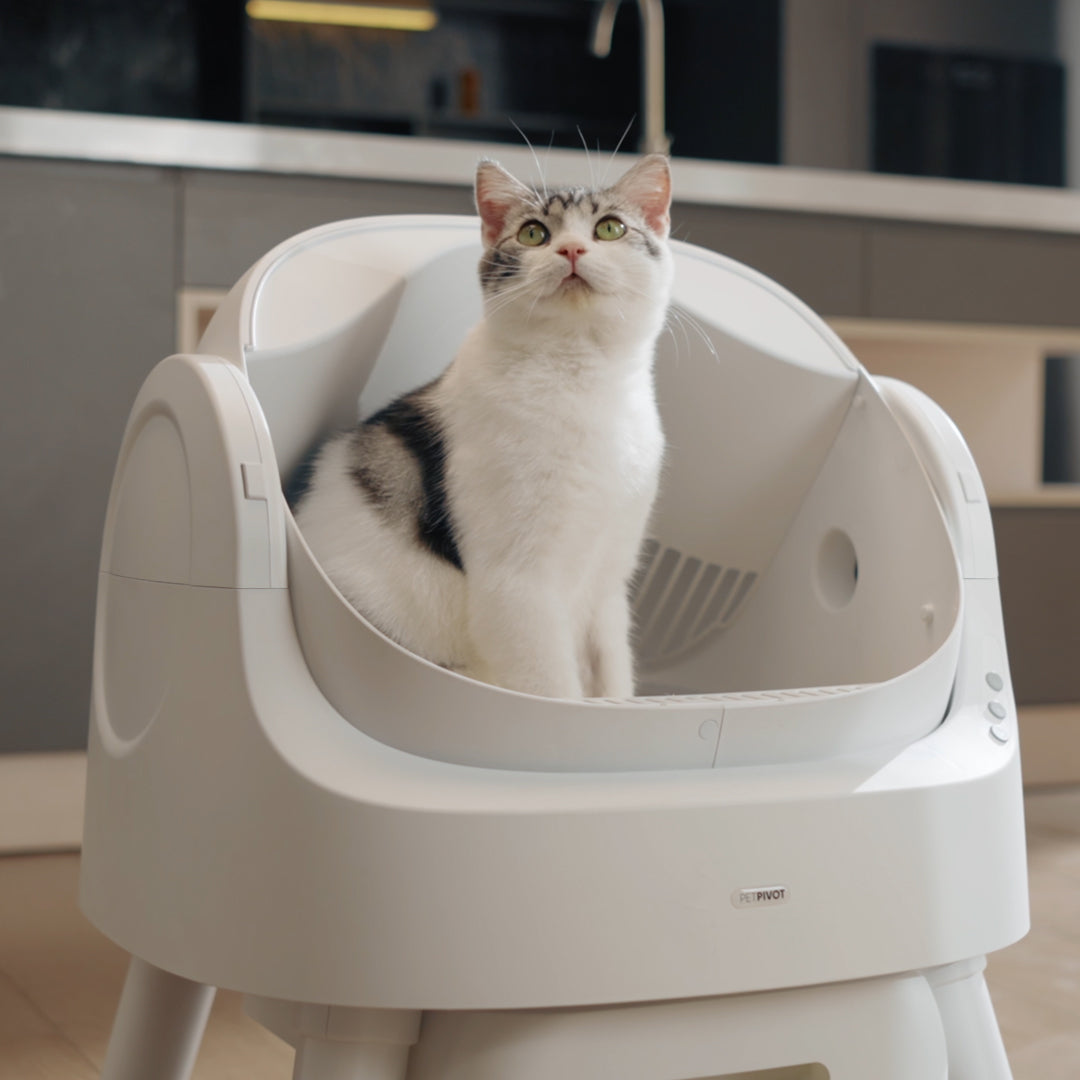 Autoscooper 11 Smart Cat Litter Box