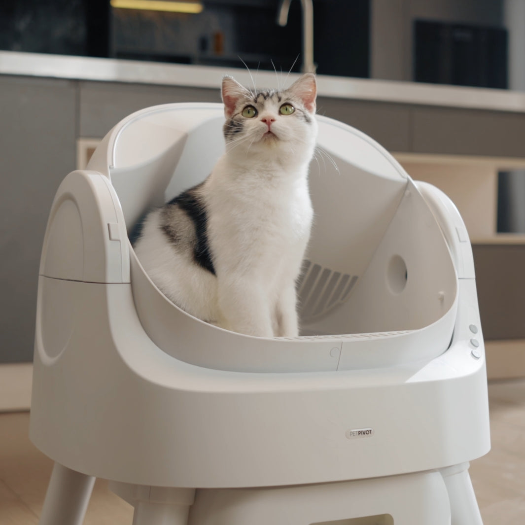 PetPivot Autoscooper 11 Open-top Self-cleaning Smart Cat Litter Box