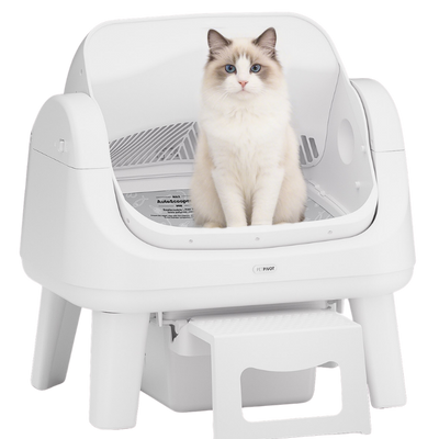 AutoScooper 12 Katzenklo
