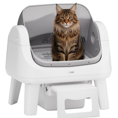 AutoScooper 12 Katzenklo