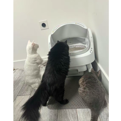 Review by Brandon C.