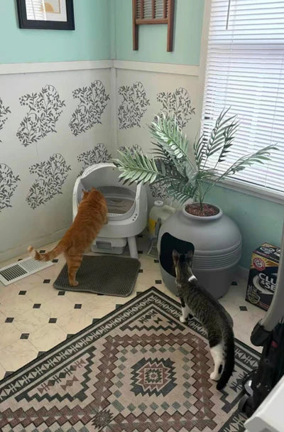 Review by Jessica L.