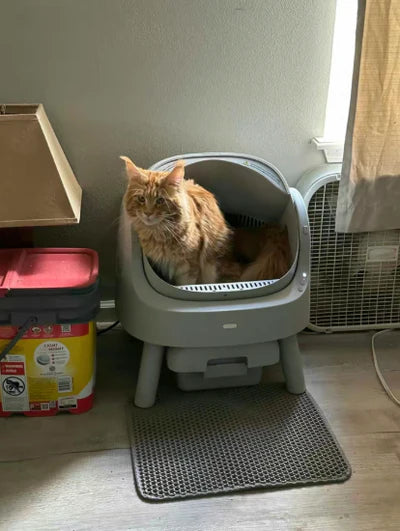 Review by Michael P.