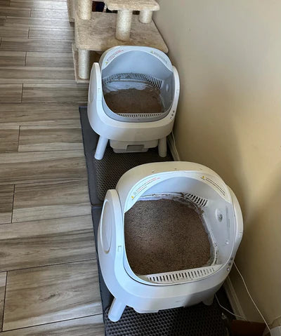 Review by Natalie R.